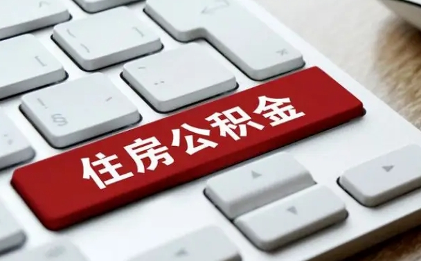 河池公积金公司交的部分怎么提取（公积金提取公司缴纳部分）